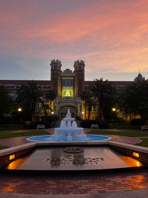 Florida State Aesthetic, Florida State University Aesthetic, Fsu Aesthetic, Beach University, Western Wallpapers, College Vibes, Dream College, Freshman College, College Experience