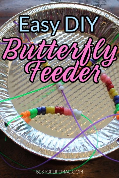 Diy Butterfly Feeder Kids, Outdoor Butterfly Activities For Preschool, Easy Bird Feeder Craft, Bug Catcher Craft, Diy Bug Catcher For Kids, Butterfly Games For Kids, Pollinator Activities For Kids, Butterfly Feeder Diy, May Activities For Kids