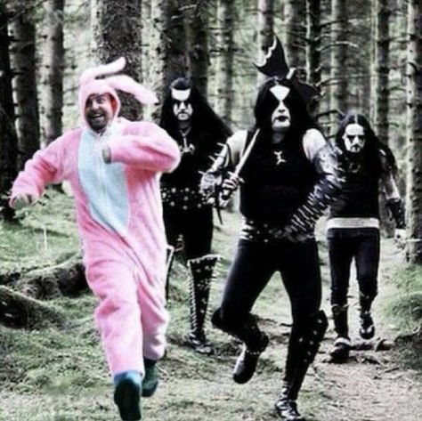 Pink bunny and a bunch of metalheads Immortal Band, Metalhead Guy, Goth Memes, Metal Meme, Metal Boy, Black Metal Art, Band Humor, Heavy Metal Music, Band Memes