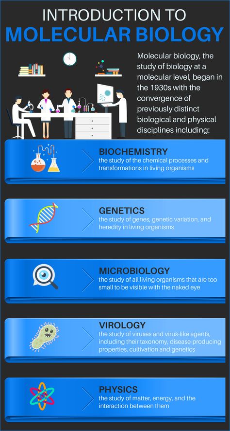 Molecular Cell Biology, Molecular Biology Lab Aesthetic, Molecular Biology Aesthetic, Biotechnology Wallpapers, Molecular Biology Art, Genetics Aesthetic, What Is Biology, Cell And Molecular Biology, Lab Aesthetic