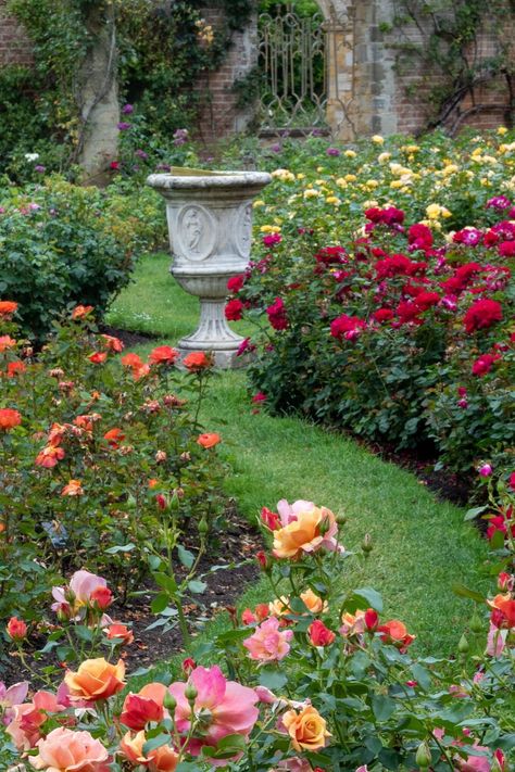 Tropical Rose Garden, English Rose Garden Design, Rose Garden Landscape Front Yards, Rose Garden Bed Ideas, Rose Gardens Small, Small Rose Garden Design, Rose Walkway, Small Rose Garden Ideas, Backyard Rose Garden