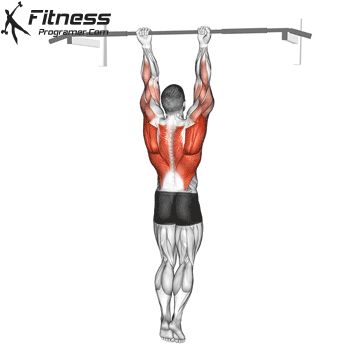 Back Pose Bodybuilding, Back Machine Workout Gym, Chin Ups Muscles Worked, Ryan Humiston Back Workout, Pull Up Muscles Worked, Best Back Exercises, Upper Body Workout Gym, Pull Up Workout, Shoulder Workout Routine