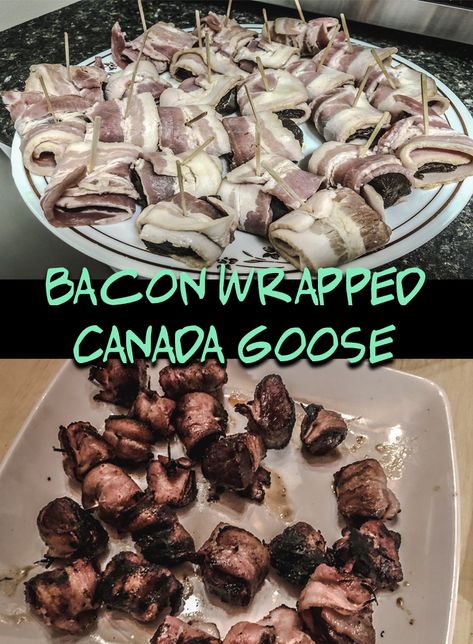 Canada Goose Recipes, Goose Appetizers, Canadian Goose Recipes, Goose Breast Recipes, Maple Bacon Glaze, Wild Goose Recipes, Goose Meat Recipes, Wild Goose Breast Recipes, Bacon Wrapped Venison Bites