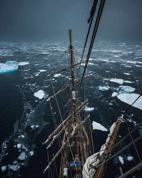 To • Instagram Strange Feeling, Drake Passage, Tall Ship, Luxury Cruise, My Career, Cruise Ships, Tall Ships, Down South, Hard Work