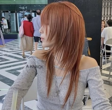 Dyed Hair Light Brown, Fatal Frame Haircut, Totanakagawa Hair, Leyera Haircut, Layered Hair Japanese, Layered Hime Haircut, Shaggy Straight Hair, Hime Haircut, Japanese Haircut