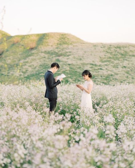 Terranea Resort Wedding, Personal Vows, Malibu Rocky Oaks, Terranea Resort, Honey Photography, California Destinations, Bad Picture, Amazing Sunsets, Break Dance