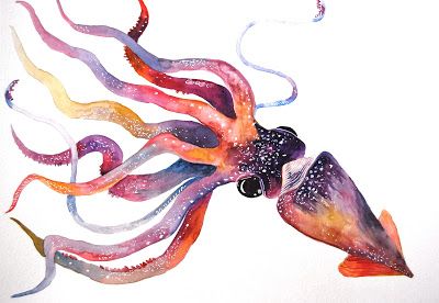 Squid Watercolor Painting, Squid Watercolor, Squid Painting, Angler Fish Art, Squid Art, Squid Tattoo, Sea Creatures Art, Alcohol Ink Markers, Watercolor And Acrylic