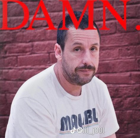 Kendrick Lamar Memes Funny, Funny Album Covers, Kendrick Lamar Funny, Adam Sandler Memes, Adam Sandler Funny, Tanka Jahari, Damn Kendrick Lamar, Kendrick Lamar Wallpaper, Kendrick Lamar Art