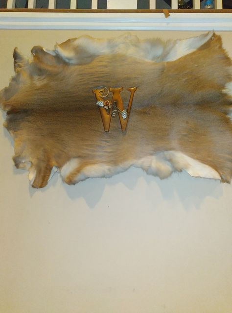 Deer Hide Decor, Survival List, Cottage Designs, Deer Hide, Rough Times, Cottage Design, Moose Art, Deer, Cottage