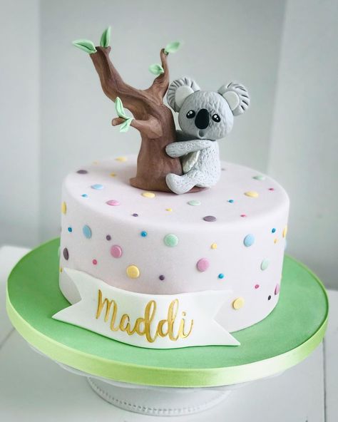 Koala Birthday Cake Ideas, Koala Cake Ideas, Fondant Koala, Koala Birthday Cake, Koala Cakes, Koala Cake, Koala Party, Koala Birthday, Kendall Birthday