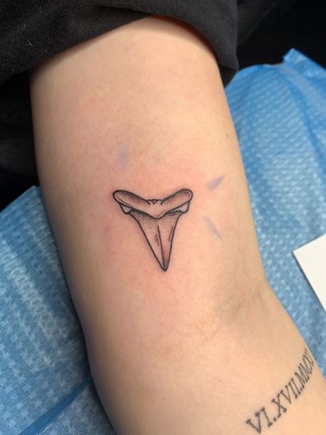 Shark Tattoo Fine Line, Tattoo Shark, Shark Tattoo Ideas, Shark Tooth Tattoo, Beachy Tattoos, Tooth Tattoo, Tattoo Hip, Shark Tattoo, Theme Tattoo