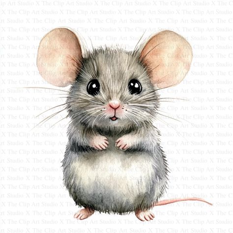 Cute Mouse Clipart | 10 High Quality JPGs | Instant Digital download | Card Making | Digital Paper Craft | Watercolor Painting | Nursery Art 🎉 Free Commercial License Included! 🌟 Key Features: Size: 5000 x 5000 pixels Quality: 300 DPI resolution Ideal for crafting mouse mats, wall art, mugs, t-shirts, cushions, cardmaking, scrapbooking, paper crafts, stationery, and mixed-media projects. 🖌️ Artistic Craftsmanship: Each image is thoughtfully designed, blending traditional drawing techniques wi Mouse Clipart, Mouse Paint, Painting Nursery, Aquarelle Art, Nursery Paintings, Cute Mouse, Mixed Media Projects, Drawing Techniques, Nursery Art