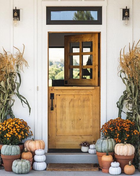 Craftsman style front door