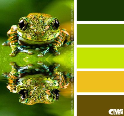 color palette Color Concept, Color Palette Challenge, Color Schemes Colour Palettes, Design Seeds, Color Balance, Color Harmony, Beautiful Color Combinations, Color Swatch, Colour Palettes