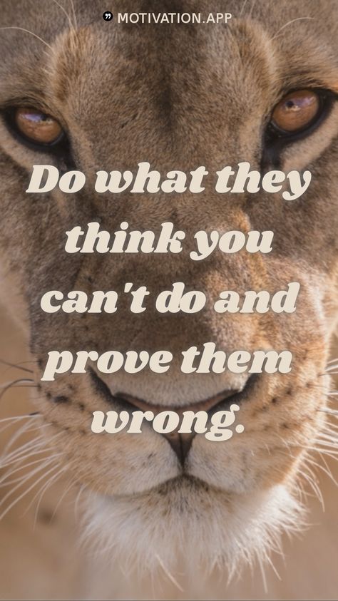 Prove Them Wrong Quotes, Risk Quotes, Wrong Quote, Tough Times Dont Last, Team Building Quotes, Prove Them Wrong, Motivation App, Honest Quotes, Believe Quotes