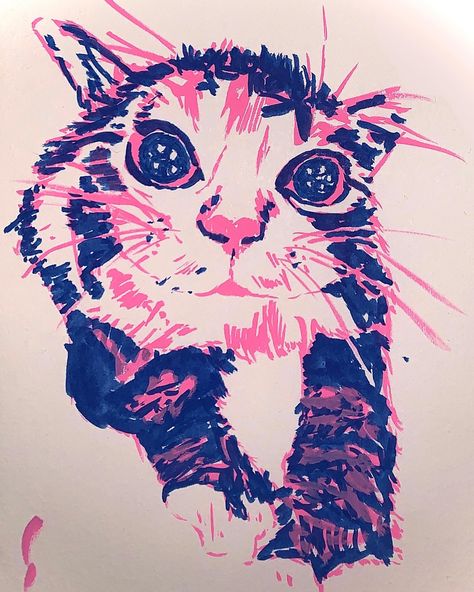 Posca Cat Drawing, Cat Pen Sketch, Cat Posca Art, Cat Oil Pastel, Posca Art Ideas, Doodles Letters, Posca Art Doodle, Posca Ideas, Posca Pen Art