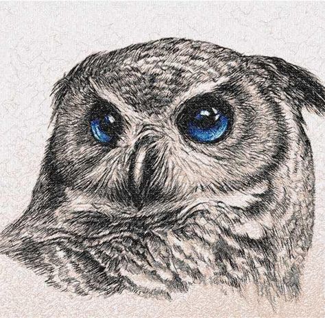 Owl photo stitch free embroidery design 24 - Photo stitch embroidery - Machine embroidery community Owl With Blue Eyes, Bird Sketch, Owl Tattoo Design, Owl Photos, Owl Eyes, Owls Drawing, Owl Art, Color Pencil Art, Arte Animal