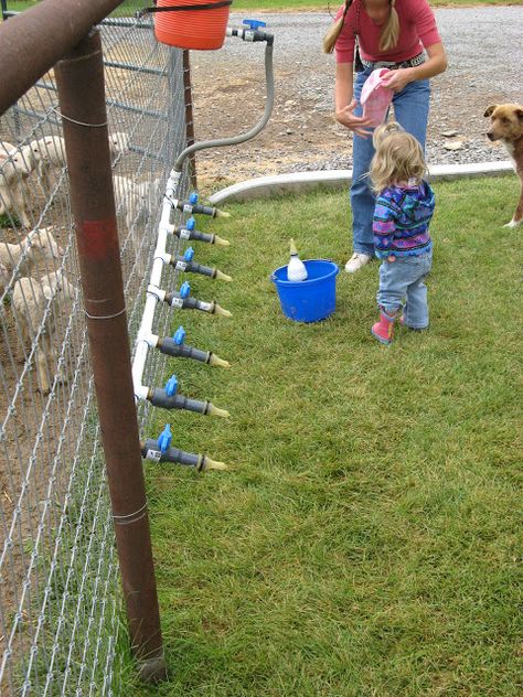 Lamb Feeders Diy, Lamb Bottle Feeder Diy, Goat Waterer Ideas, Raising Lambs, Sheep Feeders, Sheep Barn, Goat Feeder, Livestock Shelter, Goat Pen