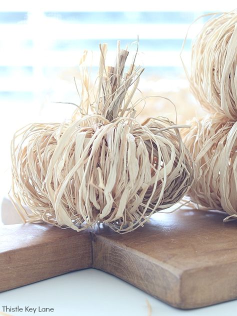 Fall Cloche With Raffia Pumpkins - See how simple it is to create raffia pumpkins for a fall cloche centerpiece or fall table vignette. Fall Arrangement. Raffia pumpkins. Fall Vignette. Pumpkin Alternatives. Hydrangea arrangement. Simple Fall Decor. Fall Cloches Decor Ideas, Fall Cloche Ideas, Cloche Centerpiece, Fall Cloche, Pumpkins Designs, Lemon Tablescape, Simple Fall Decor, Farm Core, Diy Pumpkins