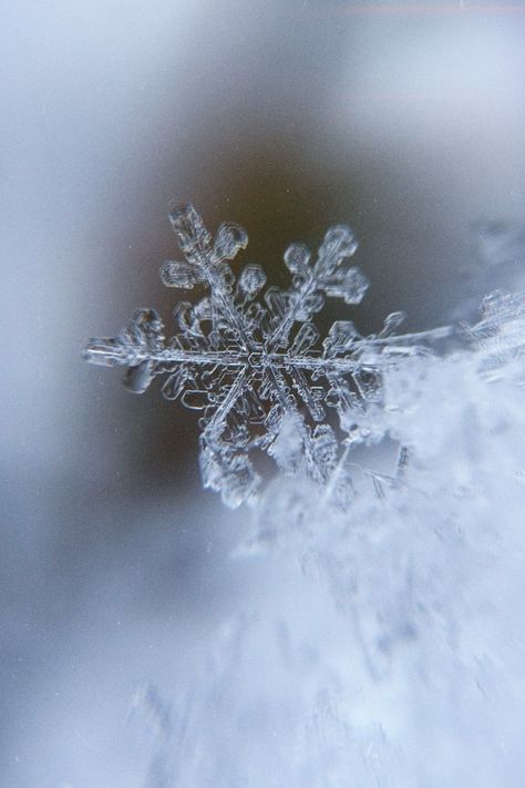 Perfect snowflake Aesthetic Snowflake Wallpaper, Snowflakes Aesthetic Wallpaper, Snowflakes Aesthetic, Snowflake Aesthetic, Noel Aesthetic, Perfect Snowflake, January Moodboard, January Aesthetic, Alice Kellen