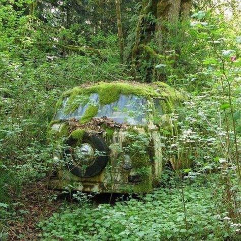 40 Hauntingly Beautiful Abandoned Places And Forgotten Things - Feels Gallery Vw Vintage, Moss Garden, Abandoned House, Abandoned Cars, Old Car, Abandoned Buildings, Alam Yang Indah, Abandoned Houses, Vw Bus