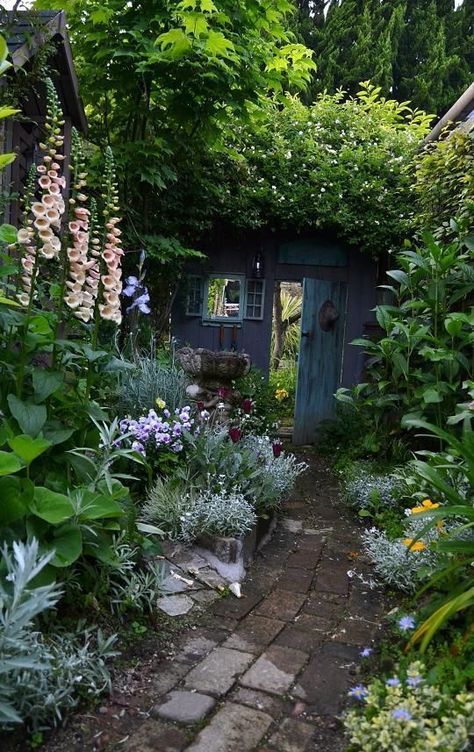 Small Cottage Garden Ideas, Lots Of Plants, Cottage Garden Design, Survival Gardening, Secret Gardens, Backyard Inspiration, The Secret Garden, Woodland Garden, Plants And Flowers