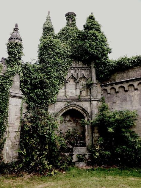 Overgrown Castle, Green Academia, Gothic Garden, Castle Aesthetic, Abandoned Castles, Castle Ruins, Fantasy Aesthetic, Gothic Architecture, Enchanted Forest