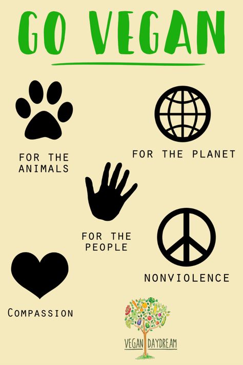 There are many reasons that people go vegan. Vegan for the animals, vegan for the planet, vegan for the people, or vegan for health. What ever the reason it makes the world a better place.  #vegan #govegan #plantbased Vegan Lifestyle Inspiration, Vegan For The Animals, Dairy Free Chocolate Cake, Vegan Bolognese, Vegan Coleslaw, Environmentally Friendly Living, Vegan Quotes, Vegan Inspiration, Vegan Pancakes