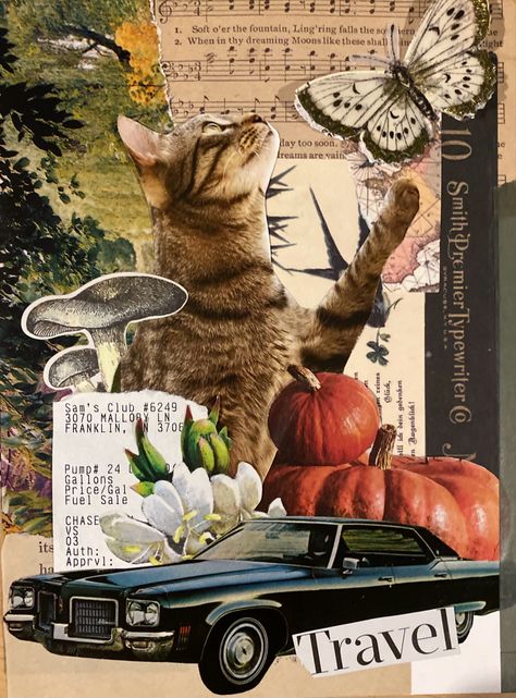 Collages Made From Magazines, Magazine Collage Inspiration, Magazine Collage Art Ideas, Collage Pages Art Journaling, Pet Collage Ideas, Collage Magazine Art, Collage Art Magazine Ideas, Collage Ideas Projects, Magazine Theme Ideas