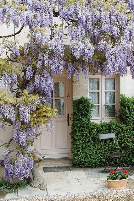 French Cottage Garden, Diy Cottage, Cottage Garden Design, Have Inspiration, Cottage Gardens, French Garden, French Cottage, The Secret Garden, Garden Cottage