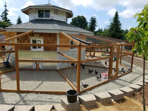 Fancy Chicken Coop Designs, Chicken Coop With Multiple Runs, Epic Chicken Coop, Chicken Coop Mansion, Chicken Run Interior Ideas, Multiple Chicken Coop Ideas, Octagon Chicken Coop, Coyote Proof Chicken Coop, Farm Enclosures