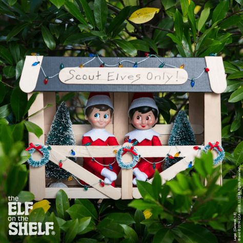 Elf Tree, Awesome Elf On The Shelf Ideas, Elf Magic, The Elf On The Shelf, Xmas Elf, Elf Antics, Elf Fun, Christmas Preparation, Elf House