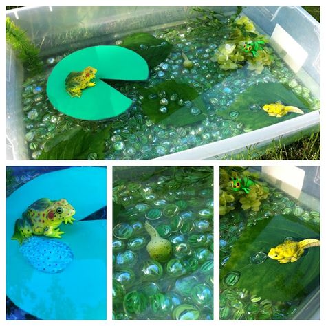 PERFECT for our preschool classes - frog pond life cycle sensory bin- have all this stuff.. and the kids would have a blast acting it all out.. Frog Sensory Bin, Pond Sensory, Frog Activities, Lifecycle Of A Frog, Frog Pond, Frog Theme, Frog Crafts, Pond Life, Sensory Boxes