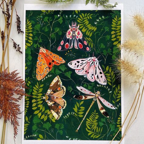 Clara Mcallister, Moth Illustration, Moth Butterfly, My New Home, Gouache Illustrations, Gouache Art, Insect Art, Nature Prints, Home Studio