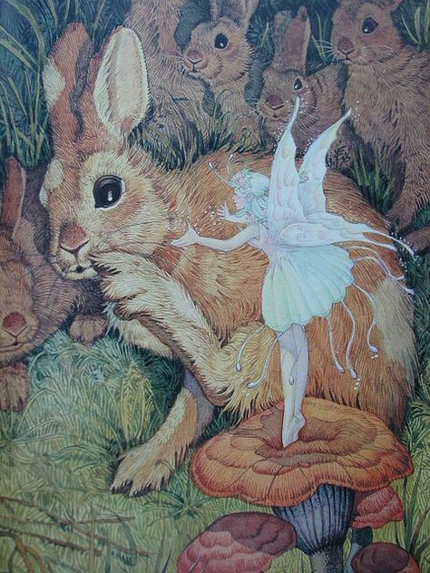 Velveteen Rabbit. Fairy Illustration, Fairy Pictures, Fairies Elves, Vintage Fairies, Fairy Magic, Flower Fairies, Fairytale Art, Alphonse Mucha, Fairy Angel