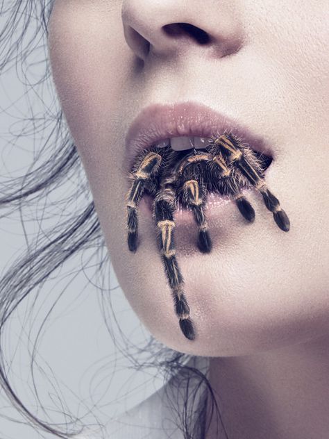 Spider Raise on Behance Spider Face, Facial Expressions Drawing, Lips Painting, Marilyn Monroe Portrait, Lip Wallpaper, Spider Tattoo, Spider Art, Creepy Crawlies, Arachnids