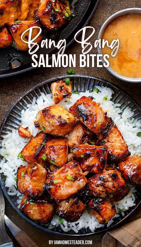 A plate filled with white rice and topped with bang bang salmon bites.  A second plate of bites rests in the corner, along with a small bowl filled with extra bang bang sauce. Bang Bang Salmon Bites, Bang Bang Salmon, Salmon Bites Recipe, Salmon Bites, Makeup Smokey, Salmon Dishes, Air Fryer Dinner Recipes, Fish Dinner, Makeup Wedding