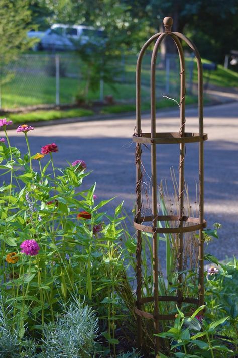 Trellis in my garden Round Trellis Ideas, Wrought Iron Trellis Ideas, Freestanding Trellis, Diy Garden Trellis Ideas, Round Trellis, Garden Supports, Garden Trellis Ideas, Metal Garden Trellis, Obelisk Trellis