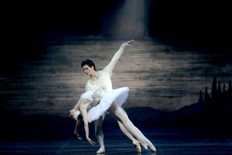 Svetlana Zakharova, Swan Lake Ballet, Bolshoi Theatre, Swan Lake, Figure Skating, Ballerinas, All Pictures, Gymnastics, Greek Statue