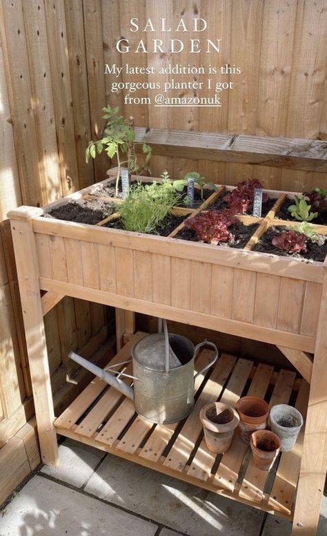 Herb Cart, Renter Friendly Garden, Raised Herb Garden Ideas, Apartment Greenhouse, Organized Garden, Small Vegetable Garden, Salad Garden, Apartment Ideas Aesthetic, Plants And Gardening