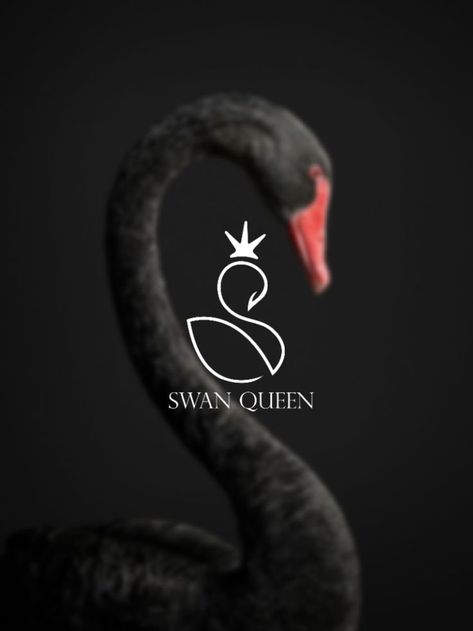 Swim Logo, Creative Logo Design Art, Swan Logo, Swan Queen, Logo Design Art, Beauty Center, Owl Design, Dragon Slayer, Logo Design Trends