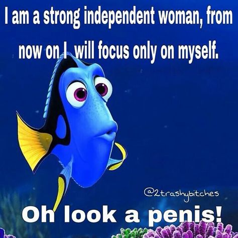 Oh look Strong Independent Woman, Woman Meme, Truths Feelings, Women Jokes, Memes In Real Life, Single Humor, Strong Independent, Independent Woman, Girl Memes