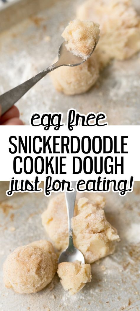 Egg Free Snickerdoodle Cookie Dough is a delicious treat that is completely safe to eat! The classic Cinnamon and Sugar coating on the cookie dough will just melt in your mouth! |Cooking with Karli| #cookiedough #snickerdoodle #eggfree Funfetti Edible Cookie Dough, Eggless Cookie Dough Recipe, Snickerdoodle Cookie Dough, Cookie Dough Vegan, Cookie Dough For One, Edible Sugar Cookie Dough, Eggless Cookie Dough, Egg Free Cookies, Cooking With Karli