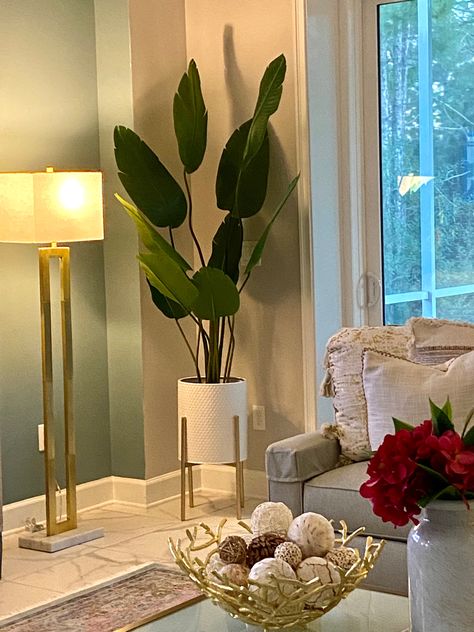 Flower Pots Living Room Ideas, Plant Decor Living Room Luxury, Home Decor Plants Living Rooms, Big Vases Decor Living Room, Flowers For Living Room, Living Room Designs Apartment, Plants For Living Room, Living Room Flowers, Vases Decor Living Room