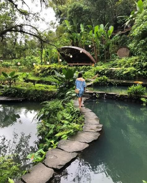 Voice Of Nature, Forest Resort, Hotel Landscape, Bamboo House Design, Resort Ideas, Outdoor Water Feature, Deco Jungle, Resort Architecture, Eco Architecture