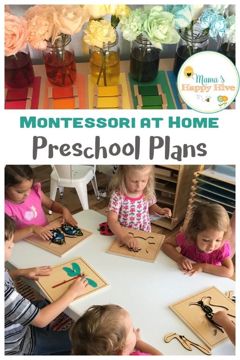 School Fun Activities, Montessori Lesson Plans, At Home Preschool, Montessori Home, Home Preschool, Montessori At Home, Preschool Schedule, Montessori Lessons, Homeschool Preschool Activities