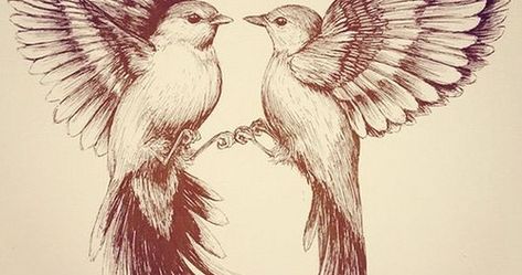 Photo Flying Bird Drawing, Sketch Bird, Pastel Tattoo, Bird Tattoo Meaning, Vogel Tattoo, Flying Bird Tattoo, Flying Tattoo, Small Bird Tattoo, Kunst Tattoos