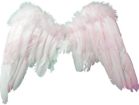 Angelic Aesthetic, Angelcore Aesthetic, Pink Backgrounds, Wings Png, Pink Angel, Angel Aesthetic, Pink Accessories, Png Icons, Lip Fillers