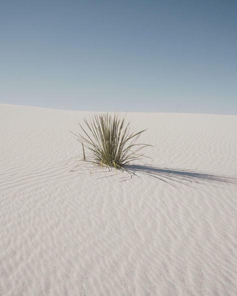 White Sands New Mexico, Desert Photography, Landscape Nature, Western Decor, White Sand, New Mexico, Art Mural, Digital Prints, Etsy Shop