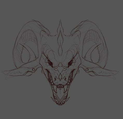 Dragon Facing Forward Drawing, Dragon Front View Drawing, Dragon Snout Reference, Angry Dragon Drawing, Dragon Face Reference, Dragon Reference Head, Dragon Roaring Reference, Mythical Creatures Sketches, Dragon Front Face